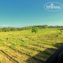 Ubud Canti Accommodation