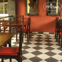 Ned's Hide-away