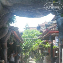 Agung And Sue Watering Hole II