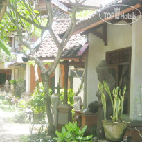 Agung And Sue Watering Hole II
