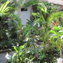 Bunut Garden Bed And Breakfast 