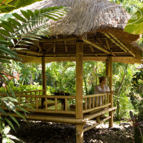 Beachfront Suites