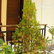 Sari Agung Hotel
