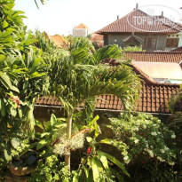 Fat Yogi Cottages