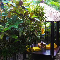 Tropical Bali Hotel