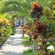 Jubawa Homestay 