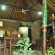 Badini Homestay 