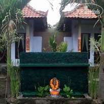 Boy Guest House 
