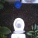 Boy Guest House 