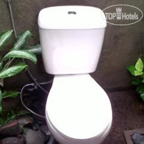 Boy Guest House 