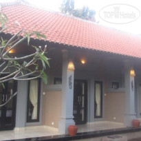 Bali Gecko Homestay