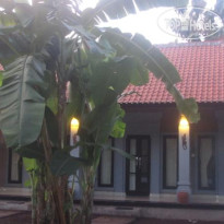 Bali Gecko Homestay
