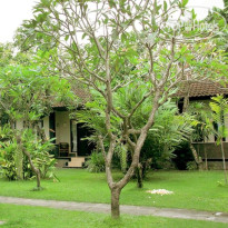 Cinthya Guest House