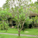 Cinthya Guest House 