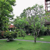 Cinthya Guest House