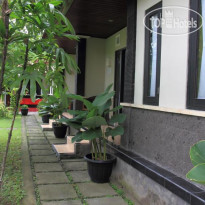 Cinthya Guest House