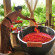 Puri Mangga Sea View Resort And Spa 