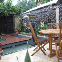 Lovina Oasis