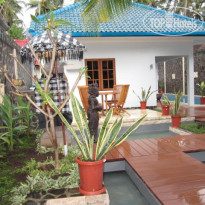 Lovina Oasis