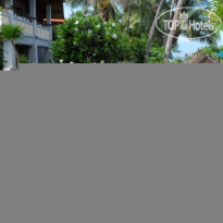 Cleopatra Beach Bungalows