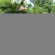 Di Abian Resort 