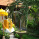 Ayu Guest House 