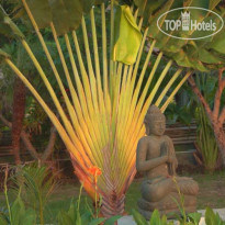 Villa Mayo Bali