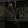 Melinggih Guesthouse Отель