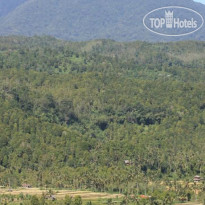 Made Oka Homestay And Warung 