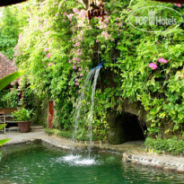 Shankari's Bali Retreat 
