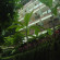 Jungle Retreat Hotel by Kupu Kupu Barong 