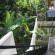 The Junjungan Bungalow 