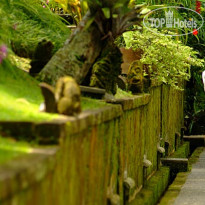 Pita Maha Resort & Spa 