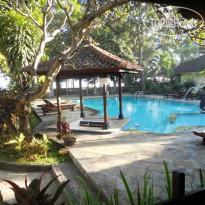 Bali Lovina Beach Cottage Бассейн