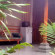 The Suci House Ubud Терраса