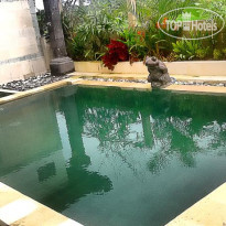 The Suci House Ubud Бассейн