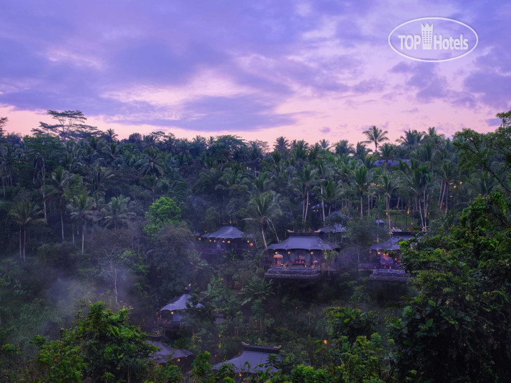 Hotel photo Capella Ubud 