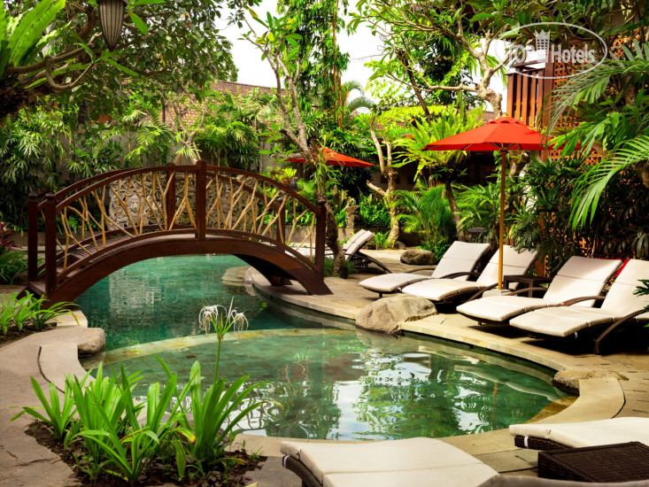 New photos from tourists Adiwana Monkey Forest 4*