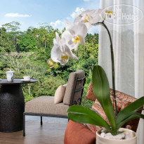 Anantara Ubud Bali Villas