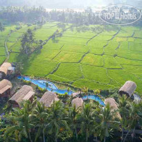 Beehouse Dijiwa Ubud 