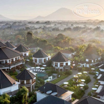 Swan Paradise A Pramana Experience 