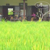 Ananda Cottages