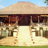 Puri Wulandari