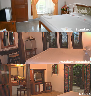 New photos from tourists Ida 2*