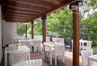 Новые добавленные фото туристов Tanaya Bed and Breakfast 2*