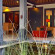 Villa D Suite Seminyak Bali 