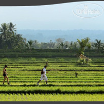 FuramaXclusive Villas & Spa Ubud