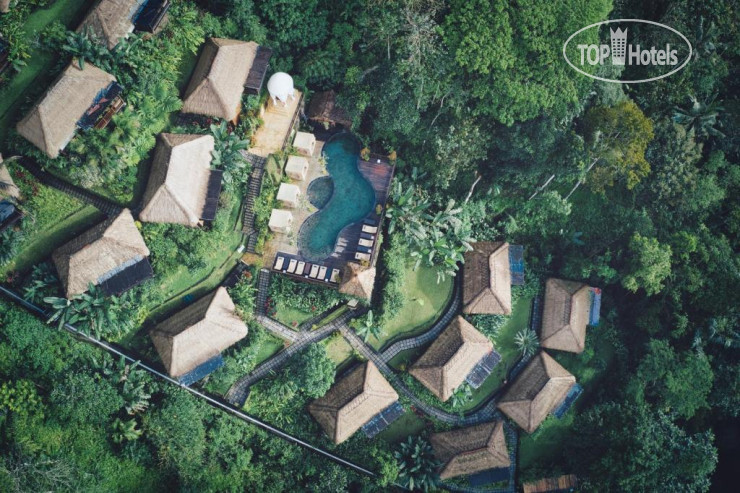 Hotel photo Nandini Jungle by Hanging Gardens 4*