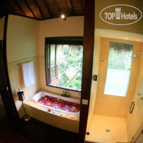 Nandini Jungle by Hanging Gardens