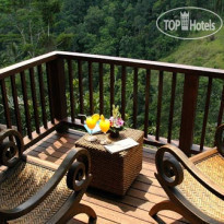 Nandini Jungle by Hanging Gardens